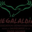 Hégalaldia