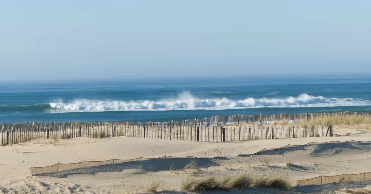 Location bord de mer dans les Landes : océan, surf et forêt de pins