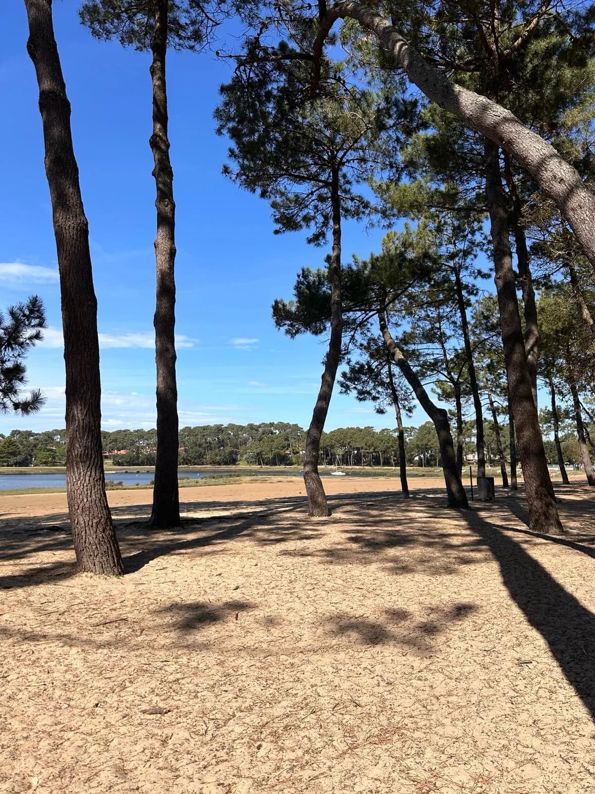 Appart Aiga T3-50m du lac d'Hossegor-jardin-parking-calme