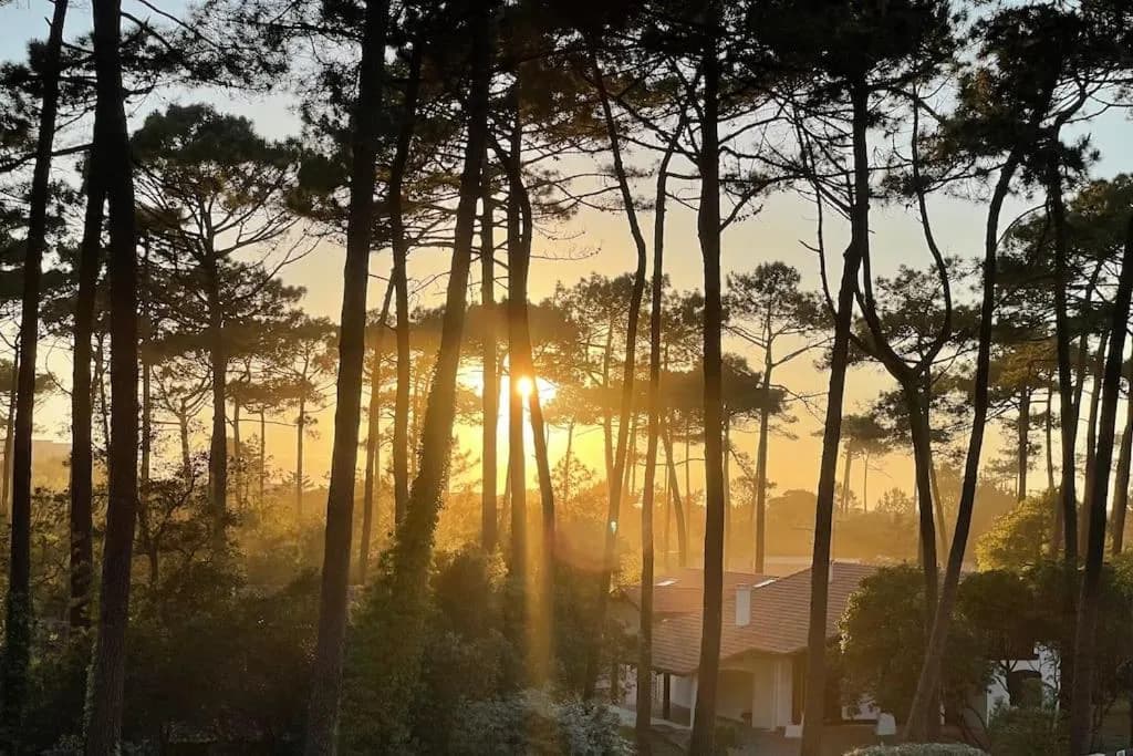 Appart T3, jacuzzi, jardin, 500m Plage des Bourdaines