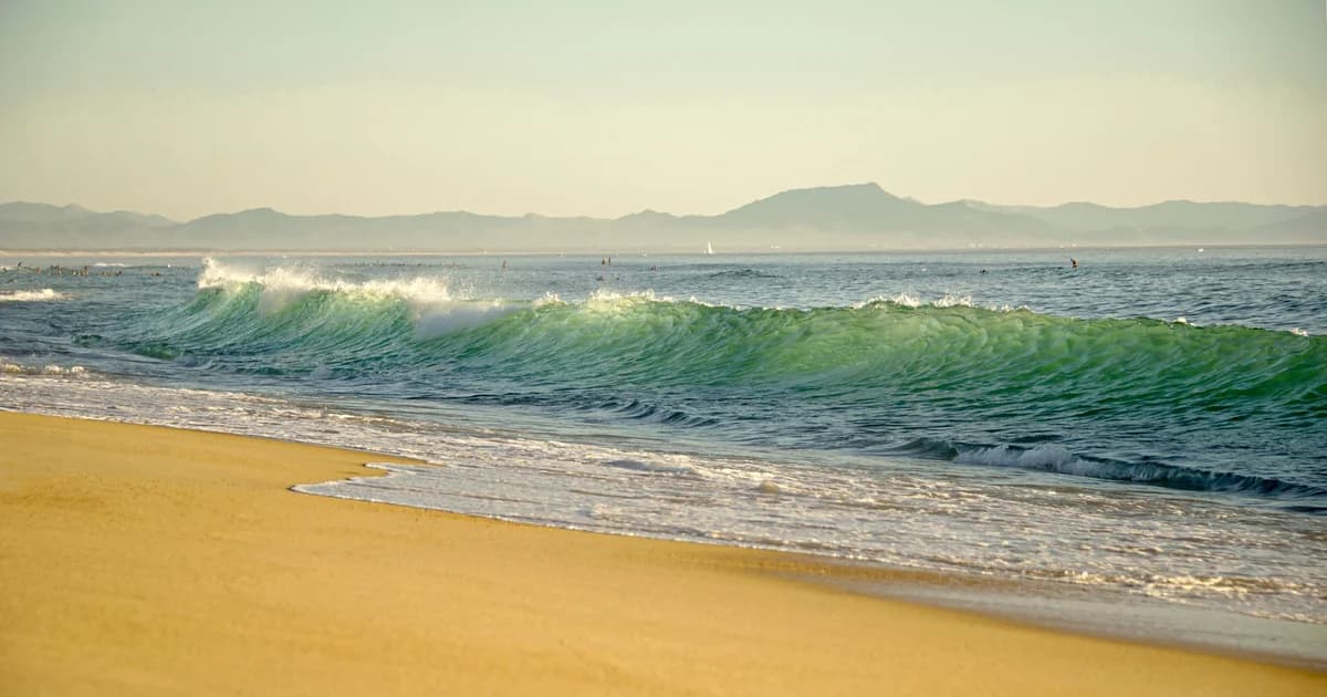 Vacances dans les Landes : océan, surf, forêt de pins et maisons de vacances
