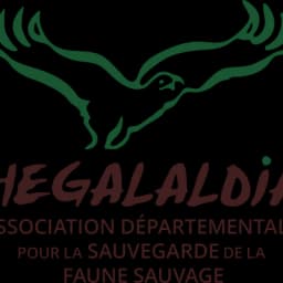 Hégalaldia